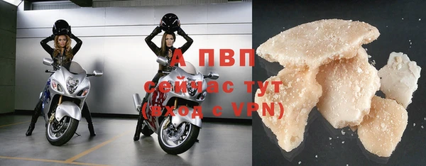 прущие грибы Михайловка
