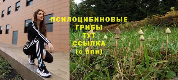 MDMA Медвежьегорск