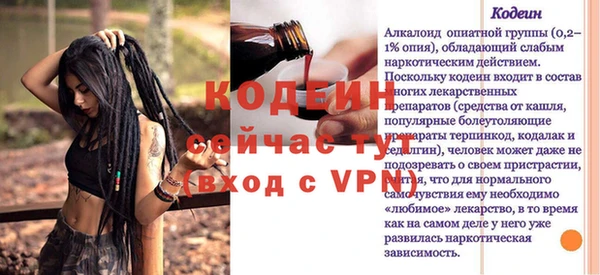 прущие грибы Михайловка