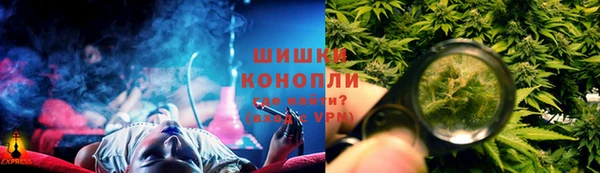 прущие грибы Михайловка