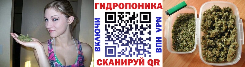 Марихуана Bruce Banner Каневская
